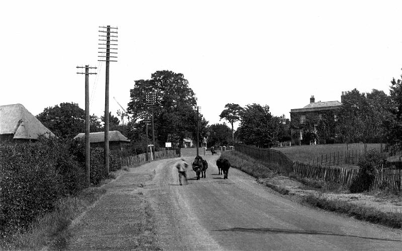 UP STOCKERS HILL.jpg